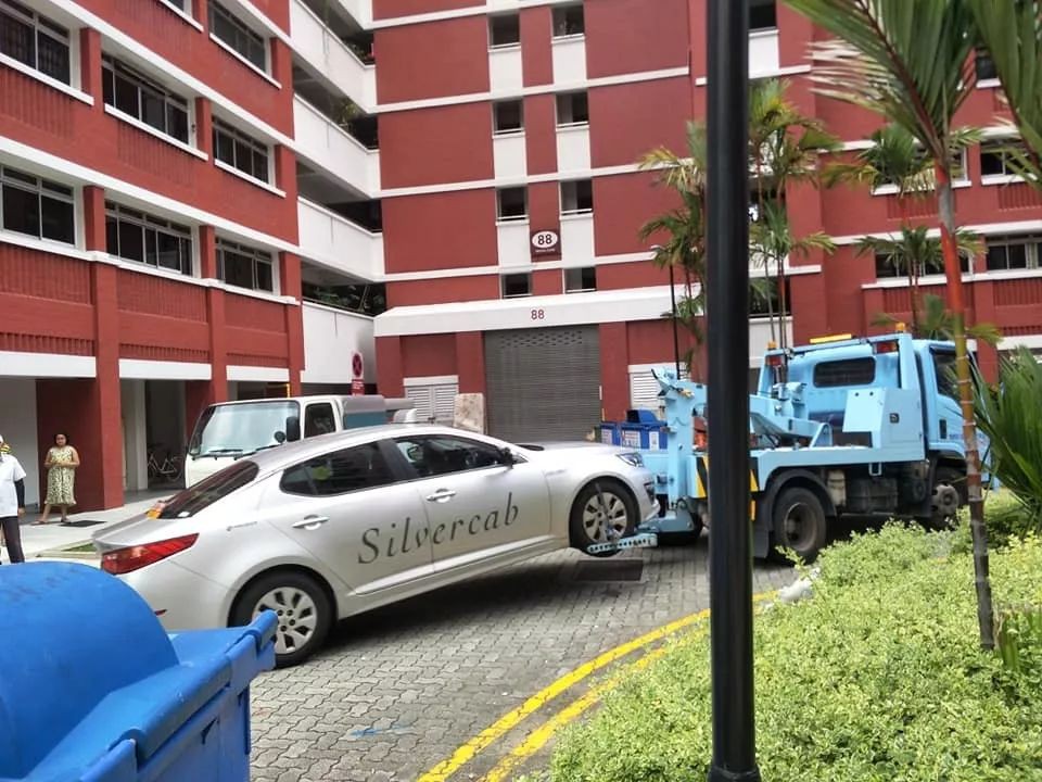 引擎盖内惊现巨蟒,新加坡车主拆车只为送走它……