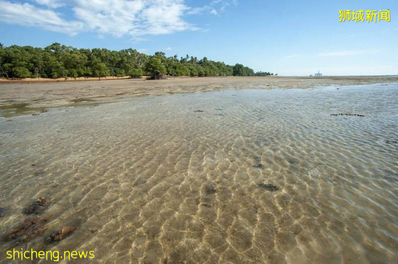 新加坡的這7個小衆島嶼你還沒有去過嗎