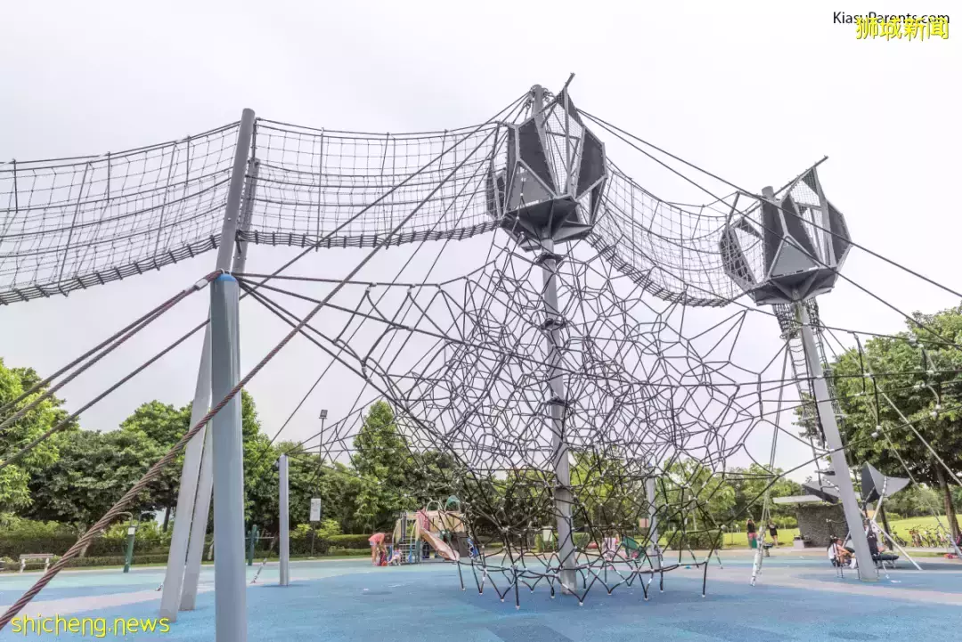 新加坡最新网红景点!风景绝美必打卡