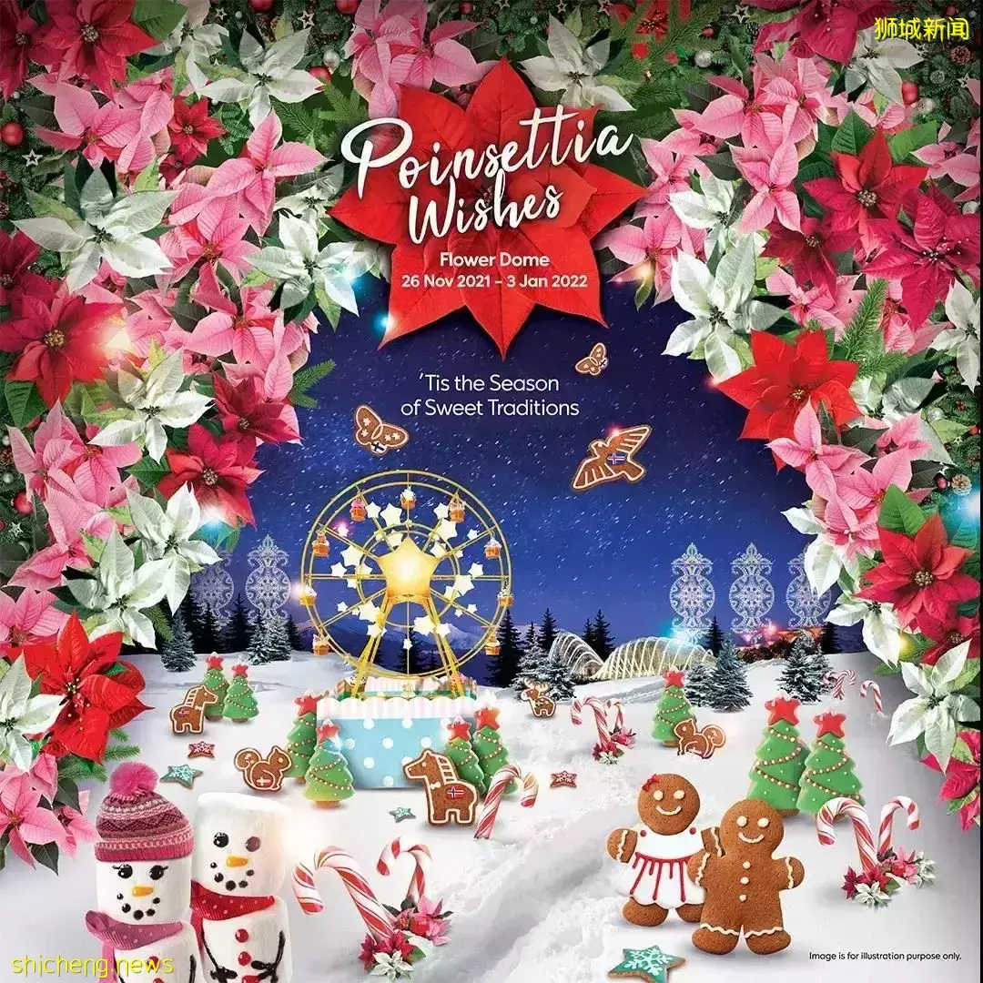 本月!新加坡將變身聖誕小鎮,16個精彩活動重磅來襲