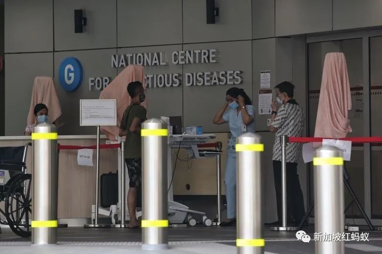 看图了解新加坡至今染病的89人近况如何
