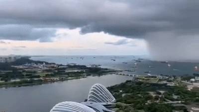 新加坡多變的天氣，豐富的生態環境