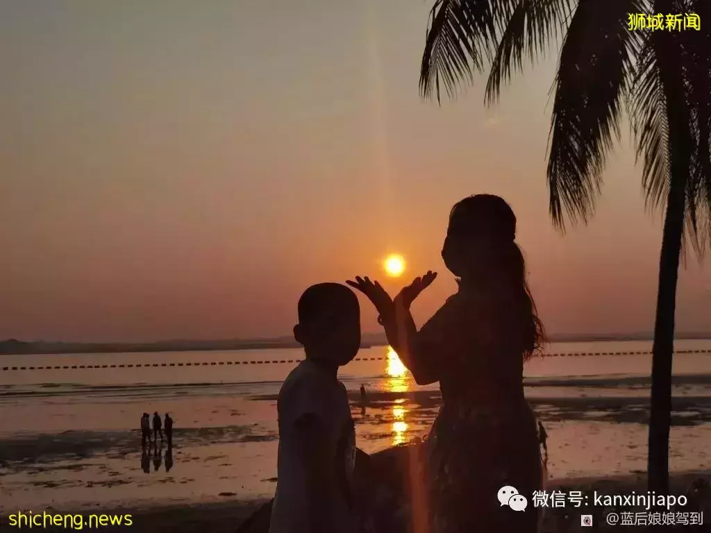 去樟宜海滩赶海吧,那里有最美的日出和从未见过的海洋生物