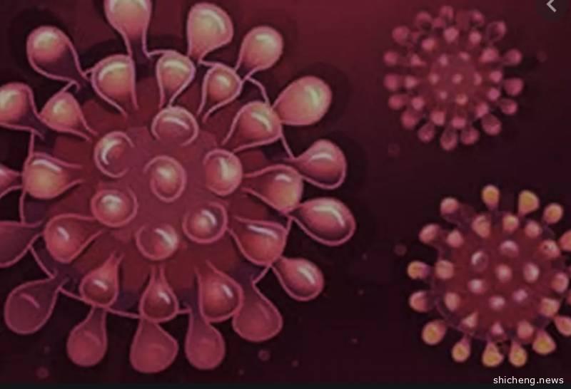 史上最惨！之前感染H1N1病毒的新加坡女子，又被确诊新冠肺炎