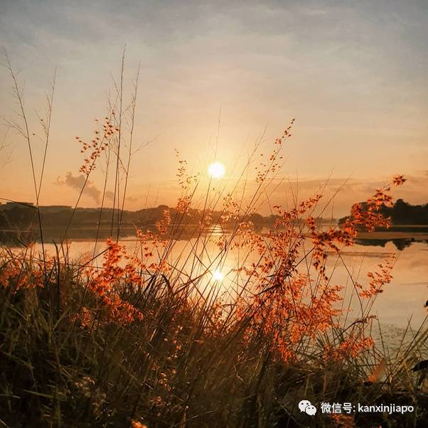 新加坡哪里看日落？8个绝美夕阳的打卡地点