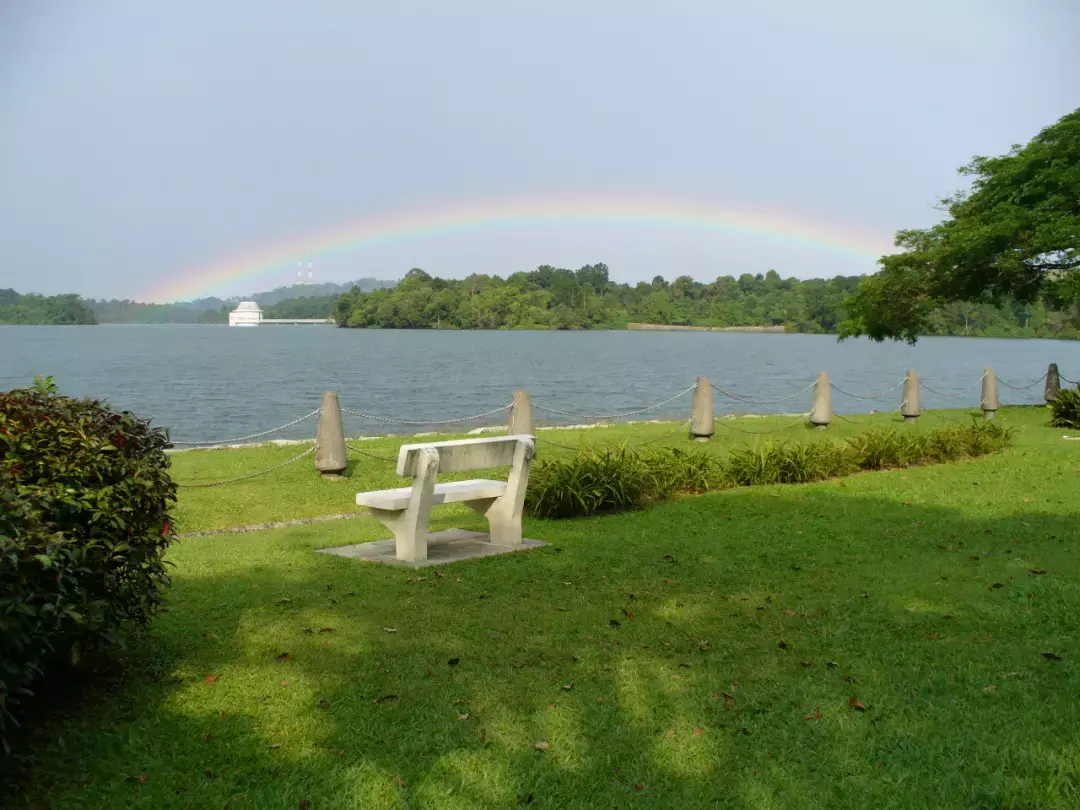 新加坡人深夜排队，翻新一年多的网红景点又开了