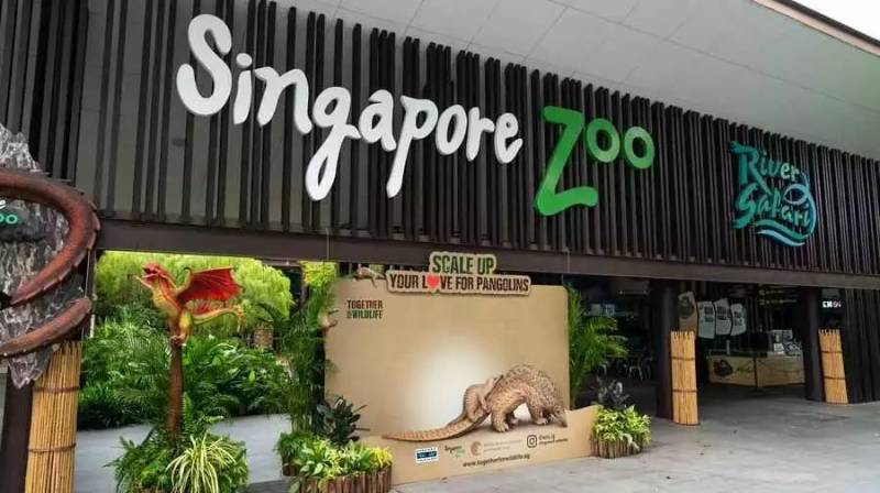 【旅游资讯】宝妈最爱新加坡，解锁全世界最棒的遛娃胜地