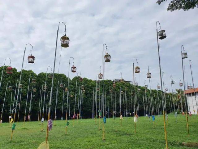 新加坡“吃喝購物在鄰裏”首個遊覽團已結束觀光，議員陪同，明星導遊