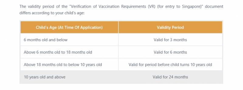 12歲及以下外國兒童入境新加坡的重要文件