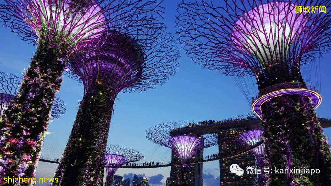 被中介坑惨了!中国小哥在新加坡干3天就走,回国却一波三折