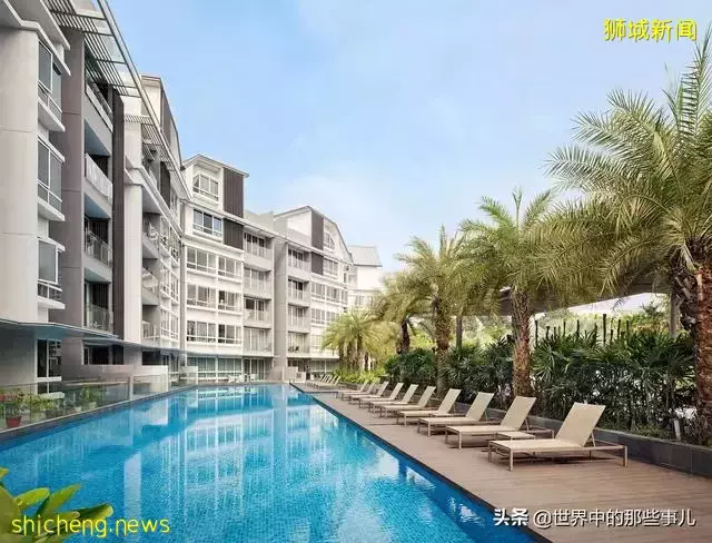 金龍魚、凱德集團竟然是新加坡公司?新加坡還有哪些産品在中國