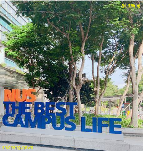 除了NUS和NTU,新加坡原來還有這麽多高校