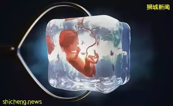 新加坡允许未婚女性做冻卵! 附费用和流程指南