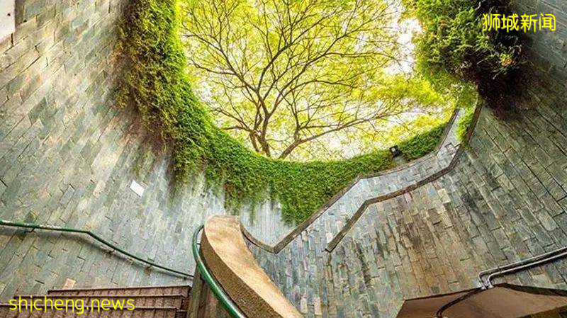 用腳步丈量城市綠色——新加坡網紅公園合集