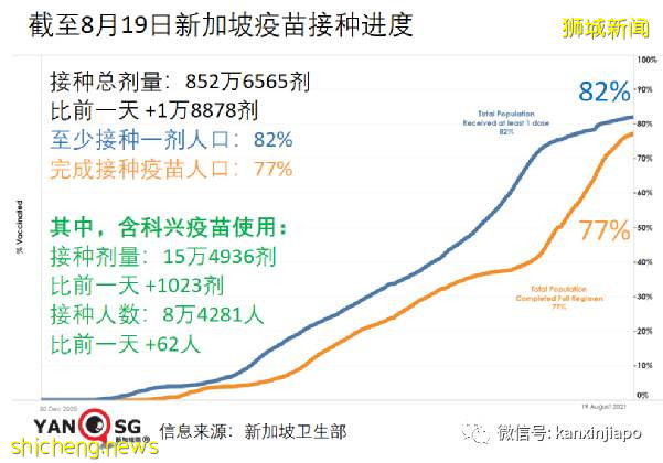 卫生部长：新加坡疫情若像纽约或伦敦，人们会选择离弃