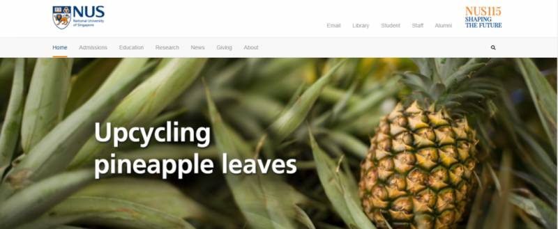 新加坡留学 不会英文也可以去新加坡留学?这个福利只给深受雅思折磨的你