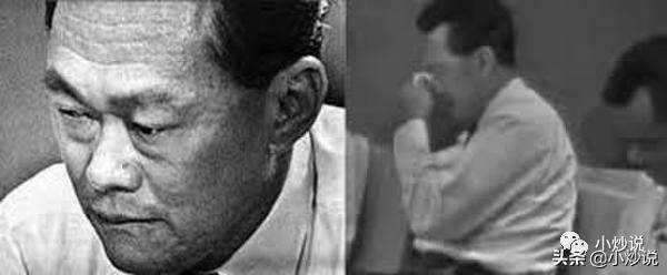 夾縫的新加坡:黃皮白心的香蕉人,還是摸著石頭過河的文明奇迹