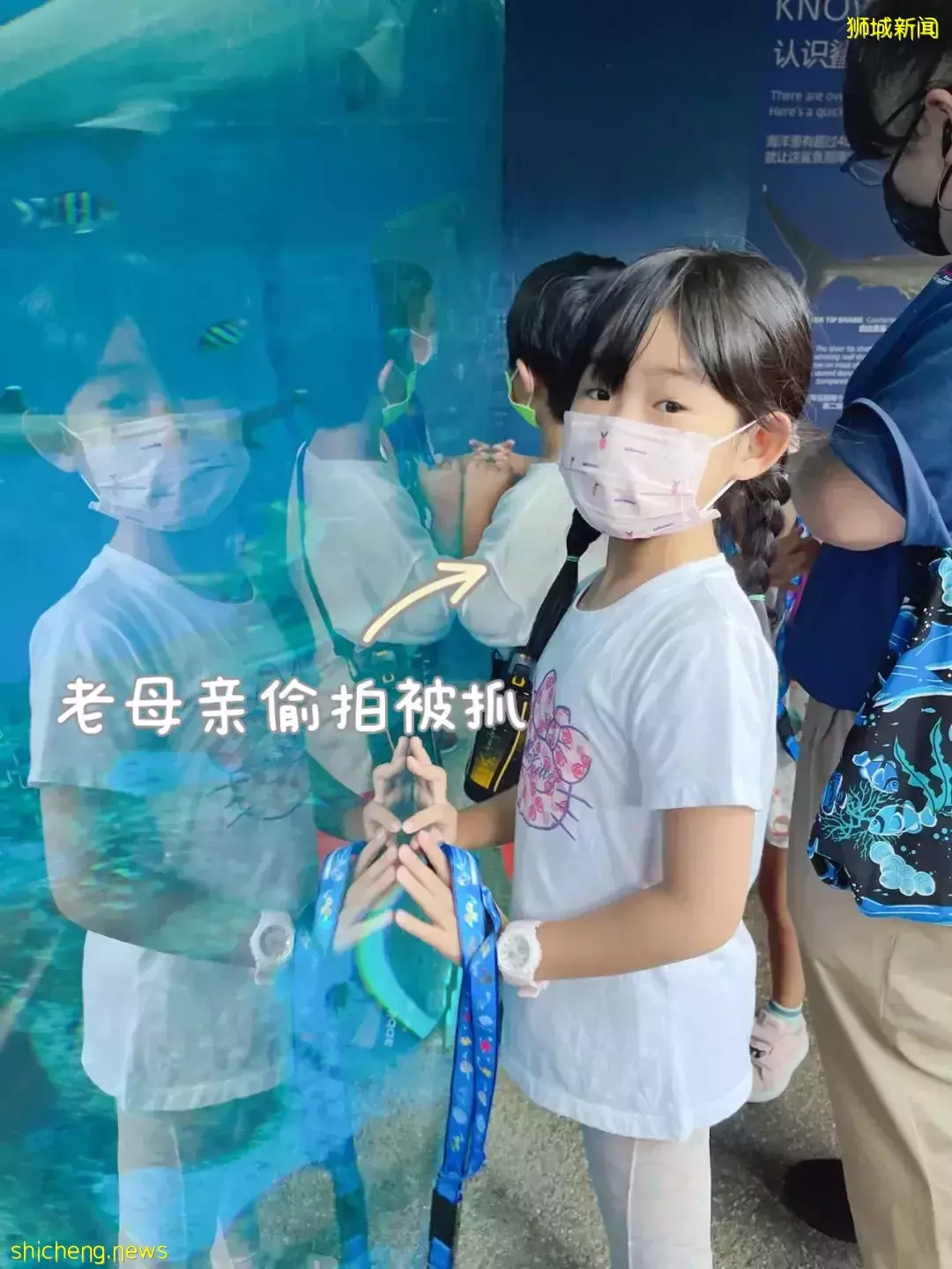 “从来没发现海洋馆这么好玩,我家娃竟然还拿到了鲨鱼的牙齿!”