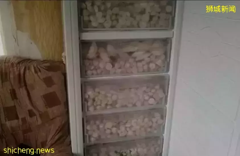 新加坡的俄罗斯饺子馆成俄乌争端泄愤工具,老板把卖饺子钱捐给乌克兰