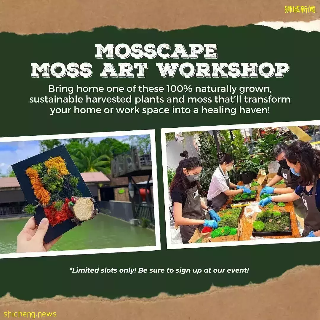 抓青蛙、喂小鸡、摸鹌鹑、喝羊奶、做手工…克兰芝农夫市集又回来啦