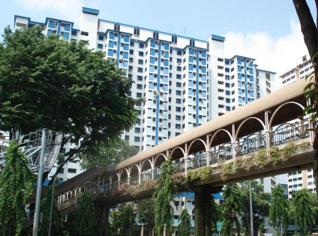 带你来到花园般的国家,城市里的森林——新加坡