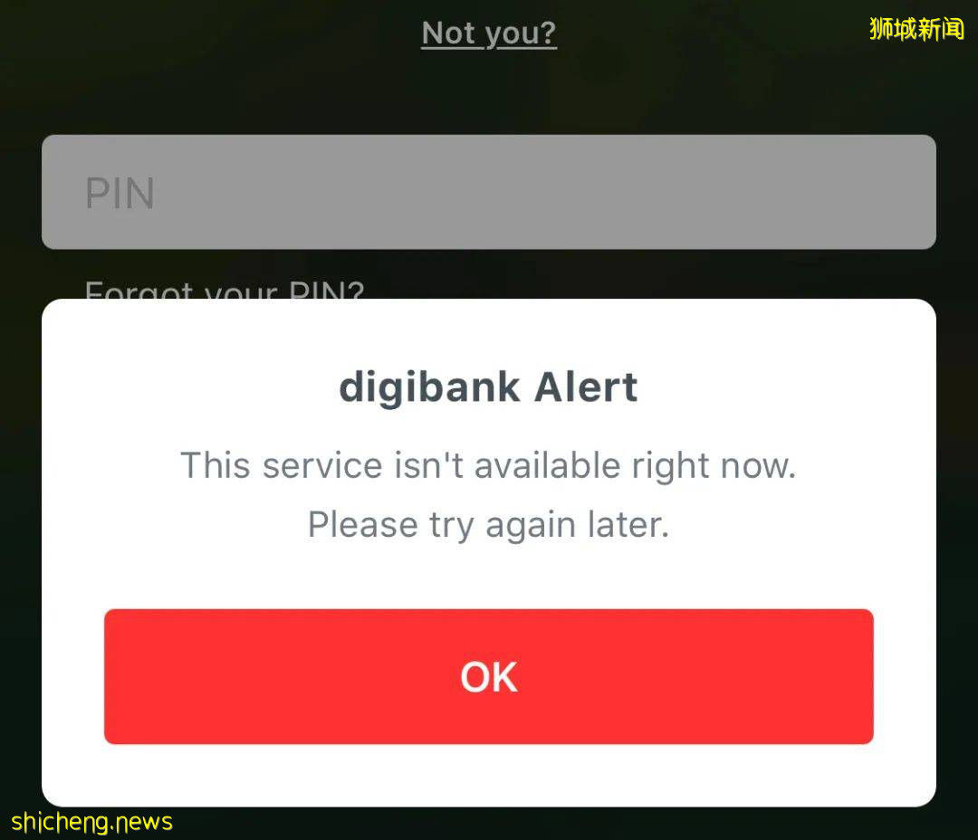 新加坡DBS银行网上银行服务瘫痪，网友：都两天了还没修好