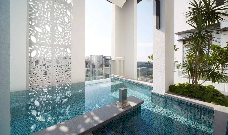 全球名校认可的高中国际文凭,新加坡学生通过率近98%