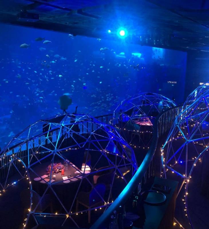 聖淘沙S.E.A.海洋館餐廳，聖誕節主題“深藍夜宴”！夢幻圓頂冰屋、探索迷人深海🐋 來一份浪漫的限定晚餐