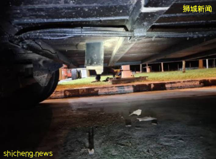 混凝土车居然藏了5,000箱免税卷烟,司机罚款逃不掉了