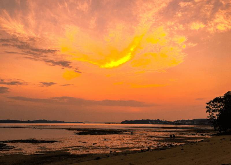 3秒就心動!盤點新加坡20個觀賞日出日落的絕佳地點 · 震撼人心的美!趕緊收好 · 明天出發