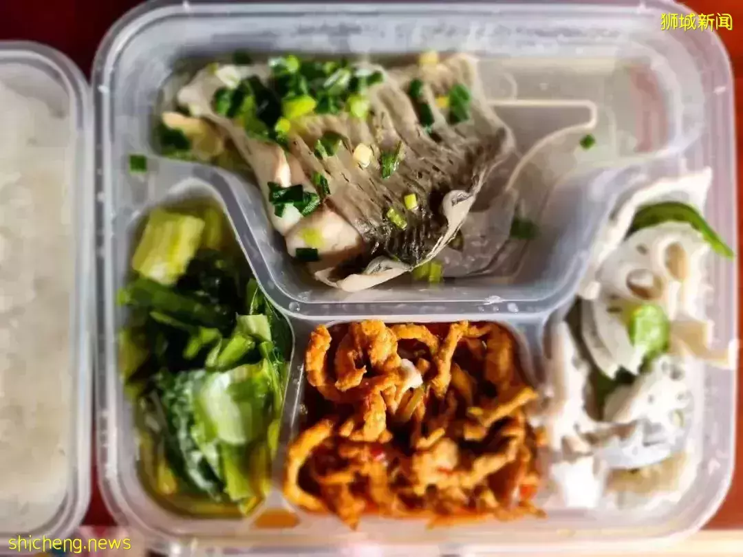 “这个春节,我终于从新加坡回到了中国”