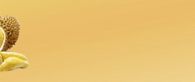 新加坡 榴梿季来袭