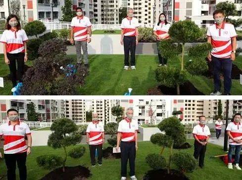 獅城DNA 從荒蕪到花園——新加坡的綠色逆襲之路