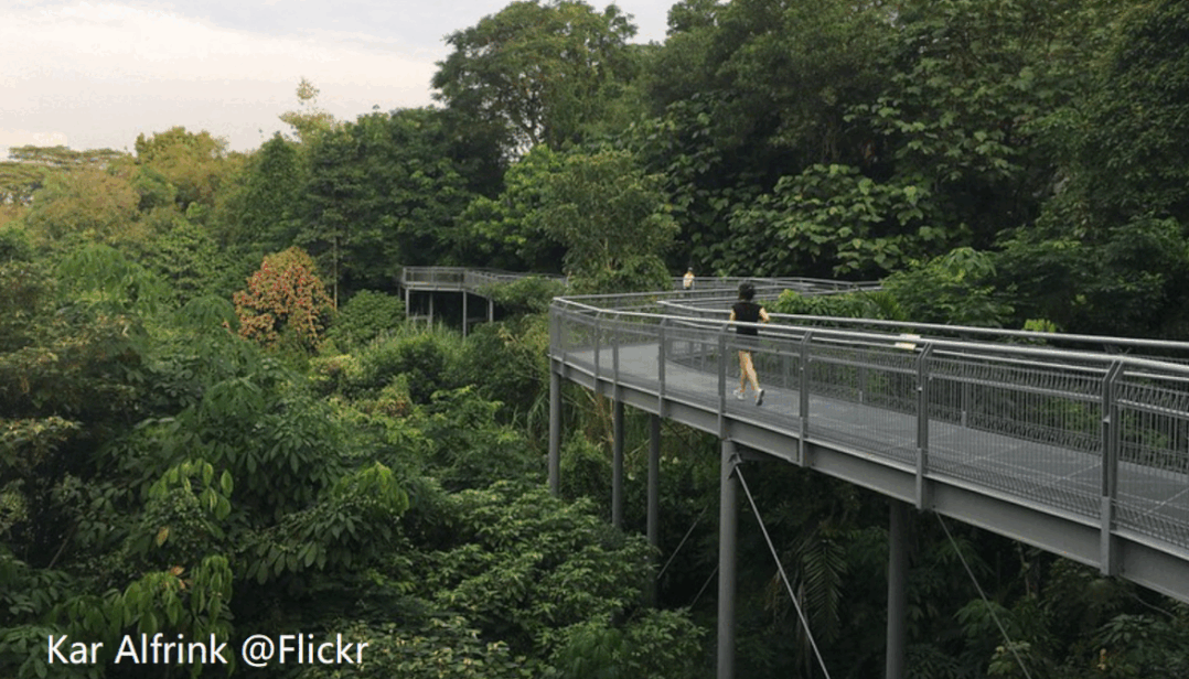 新規劃官宣！跨海長島、混合城市、地下城……未來的新加坡也太科幻了吧