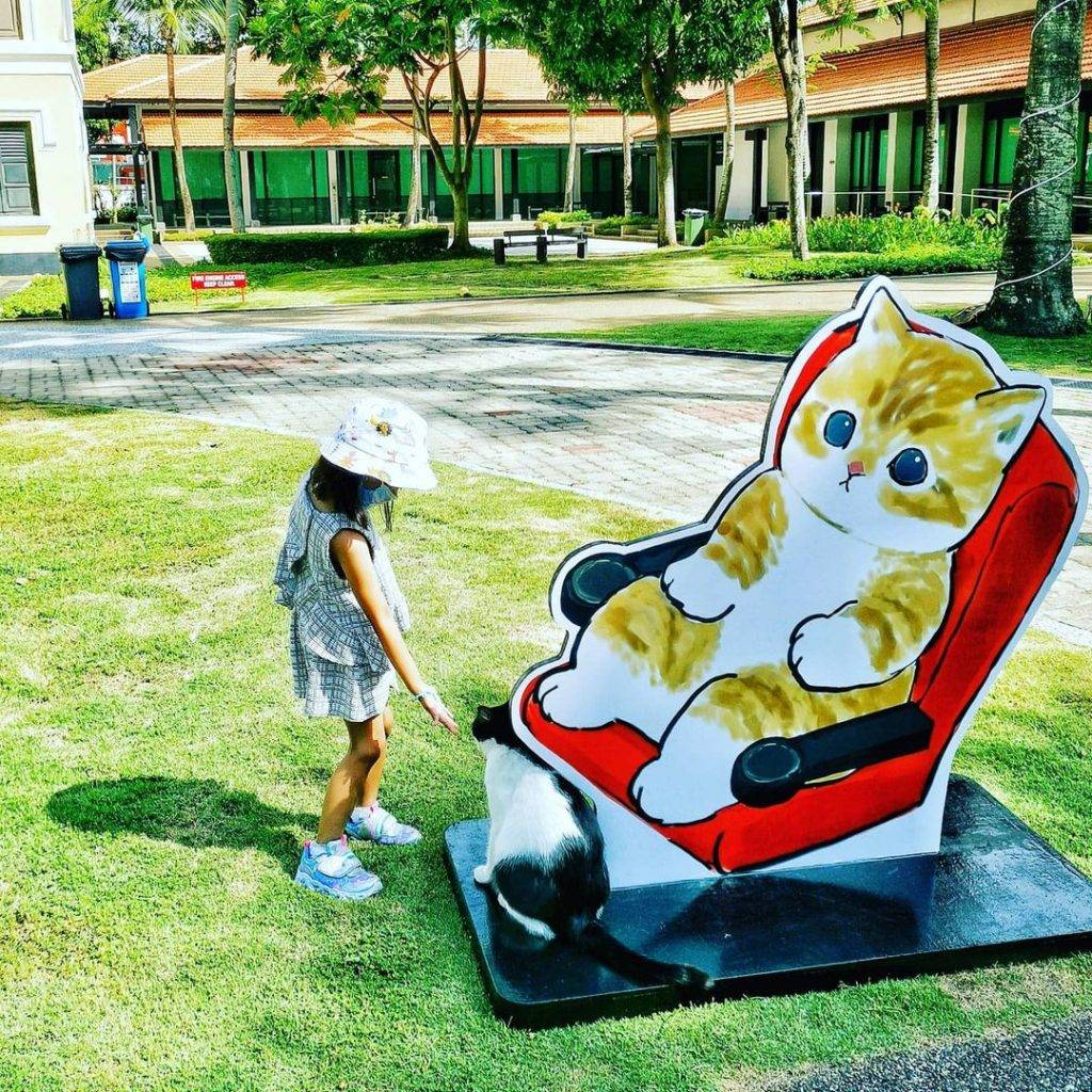 免费展出🎊最新猫咪艺术展限时登场+可爱放送🐱 日本插画家原创作品,青青草坪增添软萌气息