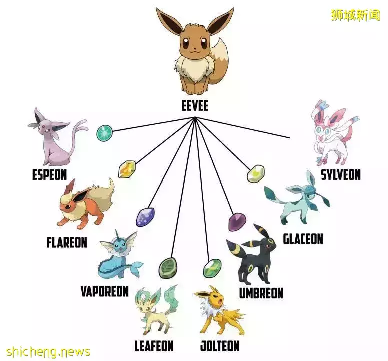 Eevee大爆炸!圣淘沙将推出限时超萌伊布大游行活动,时间表已公布!快来互动吧