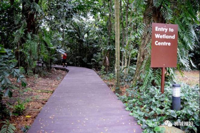 500种热带动植物免费看!超大蜥蜴、候鸟、鳄鱼,新加坡这地儿你肯定没来过