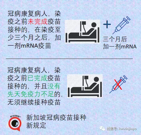 新加坡疫苗相關最全解析!出入境須知