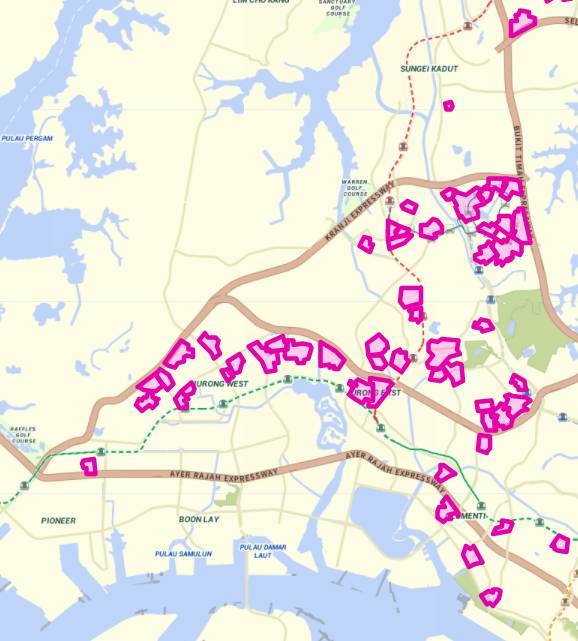 新加坡登革热又双叒叕变严重了!这五个区感染最严重