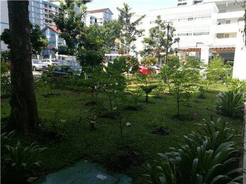 新加坡留學不愁住~留學生住宿方式大盤點