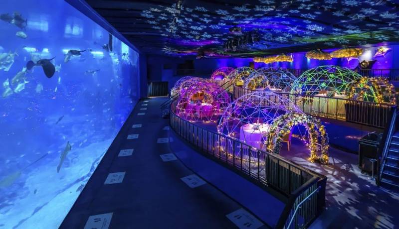 SEA海洋館聖誕主題“深藍夜宴”,夢幻圓頂冰屋下體驗浪漫限定晚餐