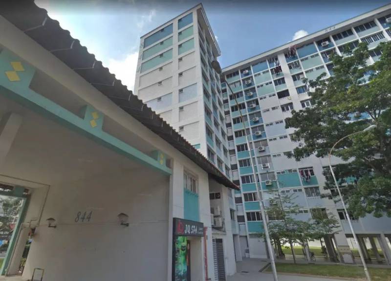 初來獅城的你，這幾個熱門“新加坡現象”不能不知道