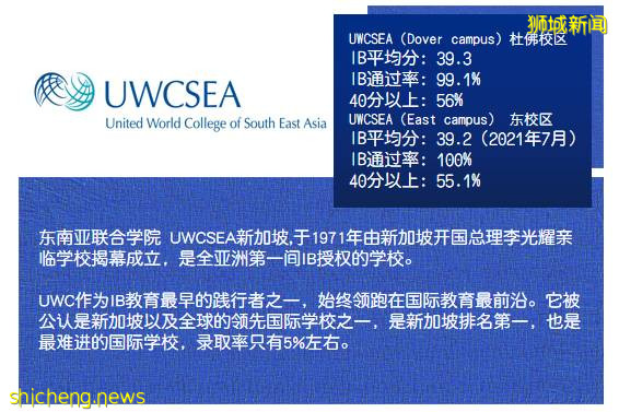 考試動態 2021年5月IBDP大考成績放榜,新加坡學校成績均高于全球水平
