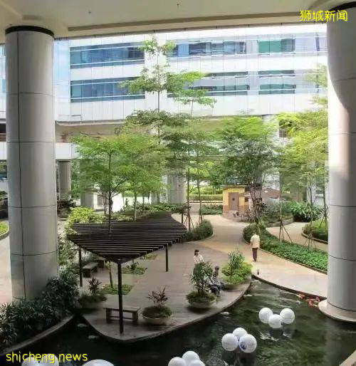 樟宜综合医院14名职员确诊,全院所有工作人员进行核酸检测