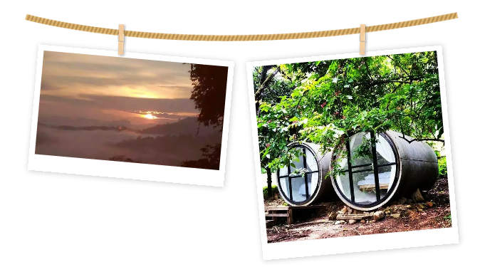 QQ图片20170302084644