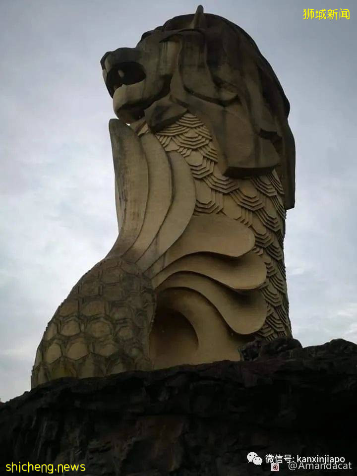 圣淘沙鱼尾狮走进历史已经2年,你想它了吗