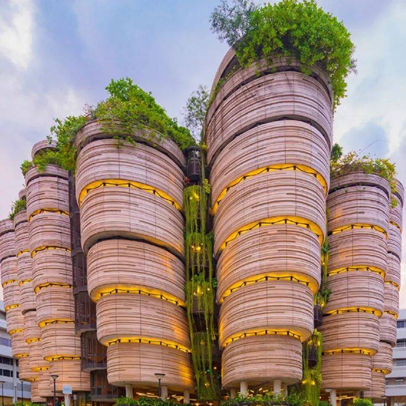 QS 2021 亞洲大學排名發布，南洋理工大學位列第三