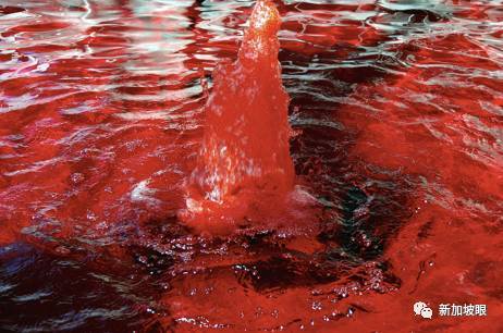 最全名字來曆大起底!新加坡綠線36個地鐵站,你知多少