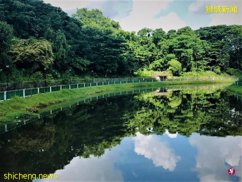 義順組屋新鎮有今天的發展規模，故事得從這個與實裏達河共生並存的春葉自然公園說起