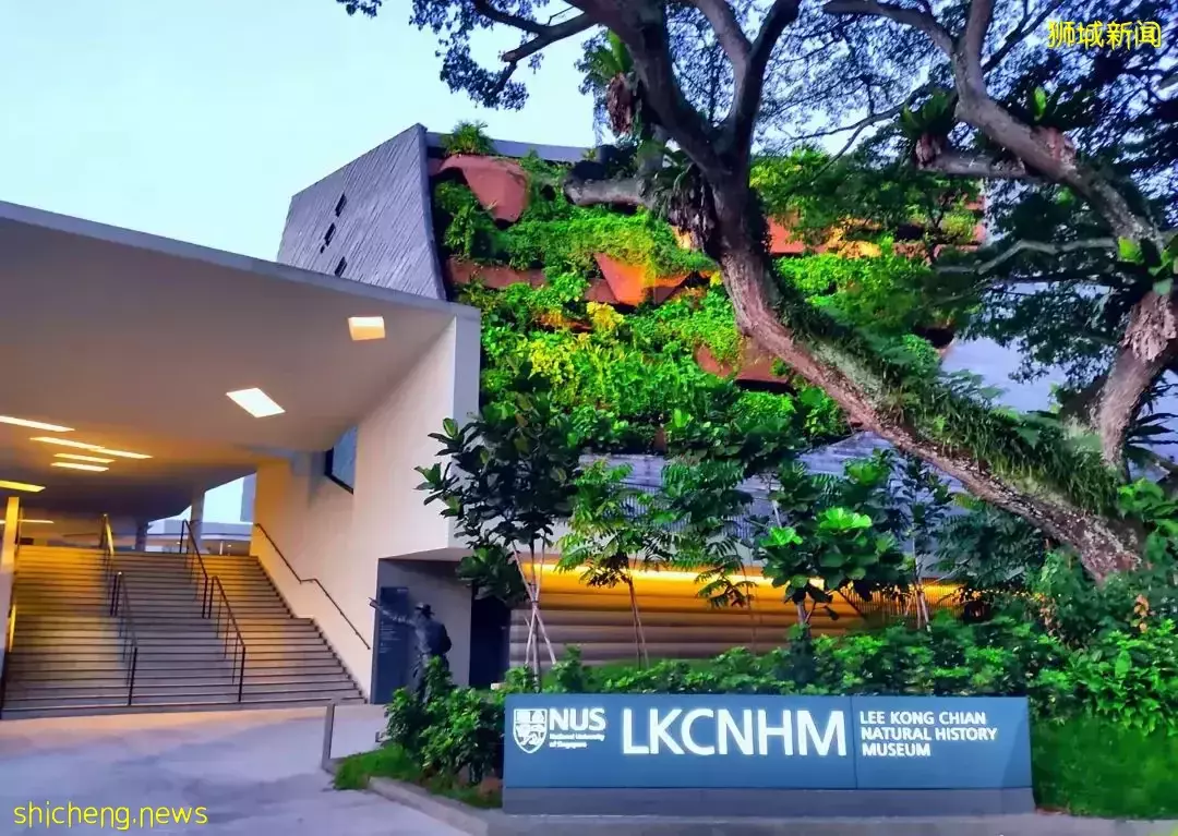 22Fall實在來不及?! 別擔心，2023年春季入學申請已開放啦